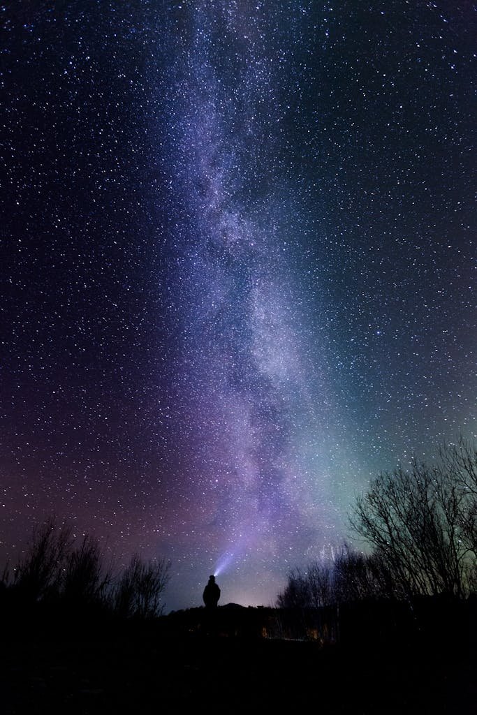 Silhouette Photography Of Person Under Starry Sky